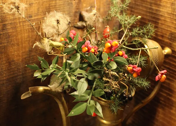 Sasso Erminia R&b Ecosostenibile Novafeltria