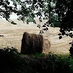 Sasso Erminia R&b Ecosostenibile