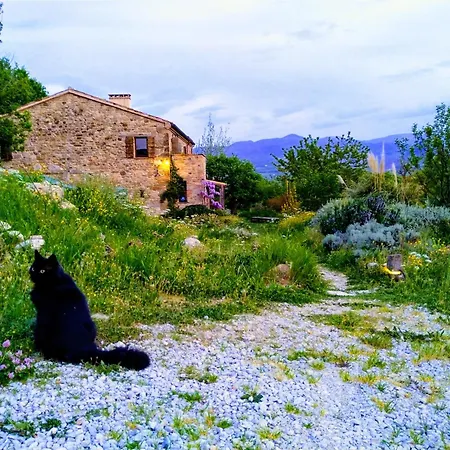 Bed & Breakfast Sasso Erminia R&b Ecosostenibile Novafeltria