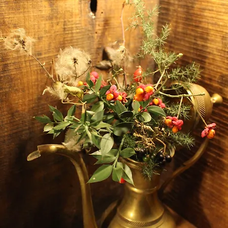 Sasso Erminia R&b Ecosostenibile Novafeltria