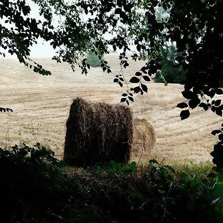 Sasso Erminia R&b Ecosostenibile