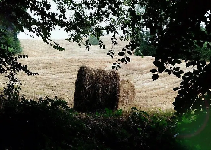 Sasso Erminia R&b Ecosostenibile