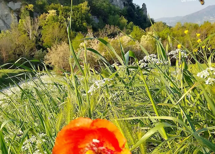 Bed & Breakfast Sasso Erminia R&b Ecosostenibile